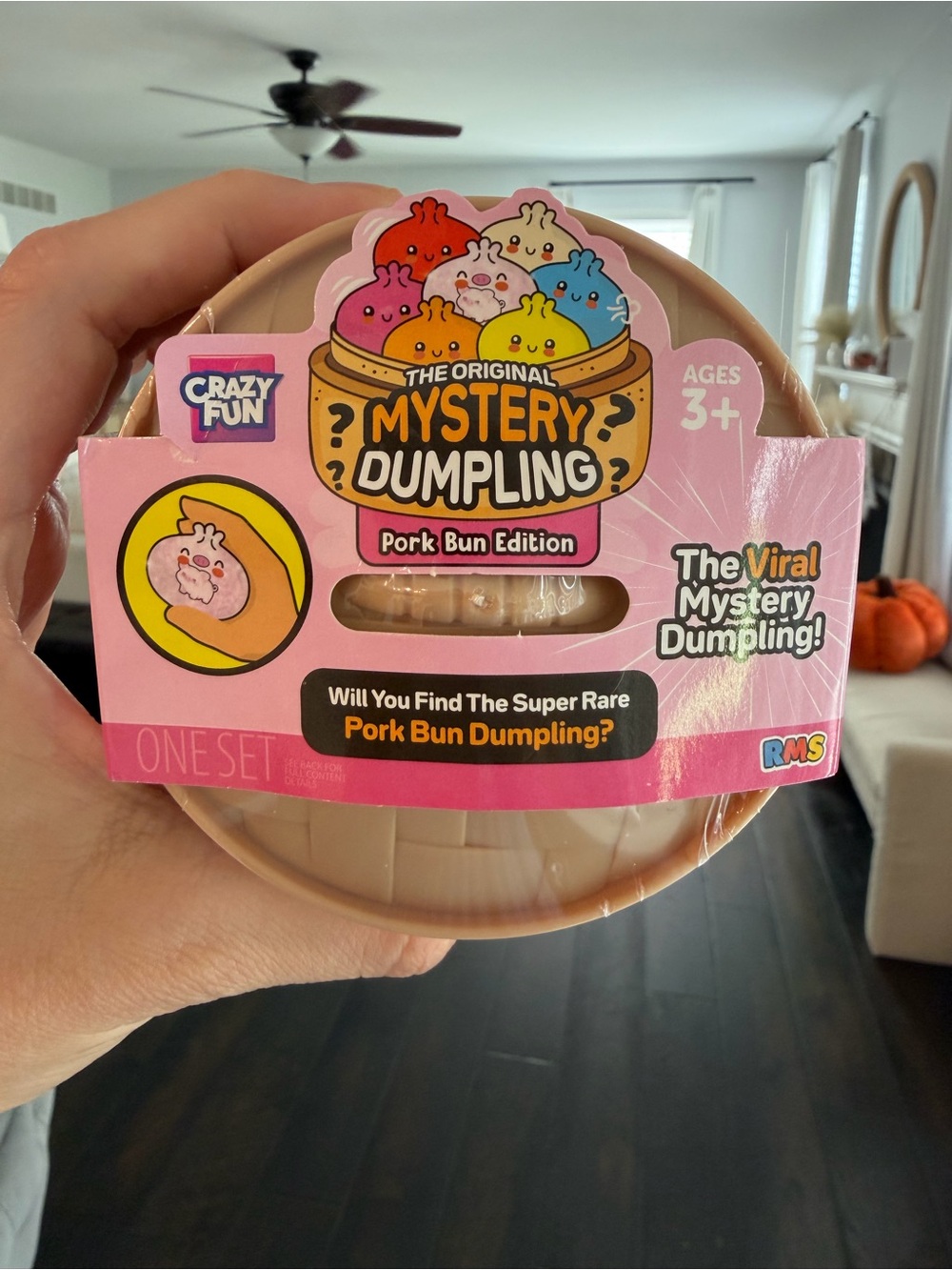 Rare ✨ Mystery Dumpling 🐽 Pink Pork Bun Edition